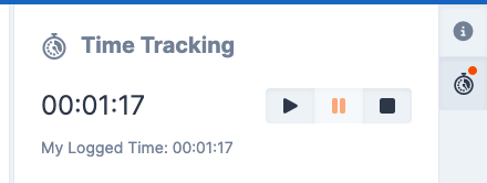 Pausing Timer